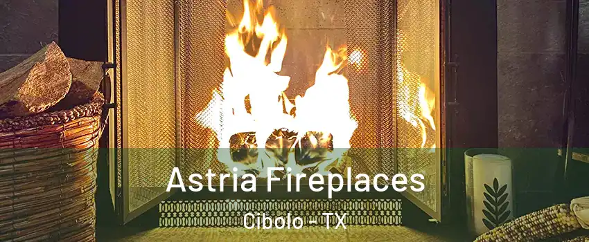  Astria Fireplaces Cibolo - TX