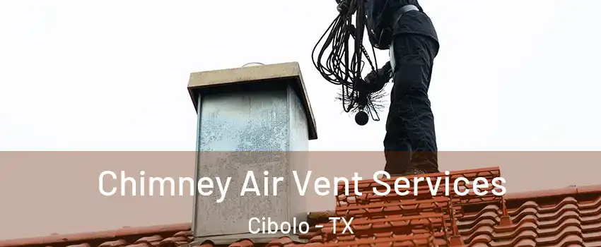  Chimney Air Vent Services Cibolo - TX