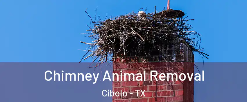  Chimney Animal Removal Cibolo - TX