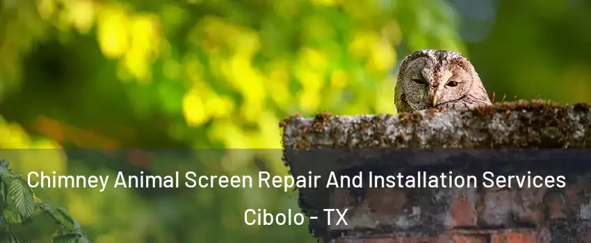  Chimney Animal Screen Repair And Installation Services Cibolo - TX