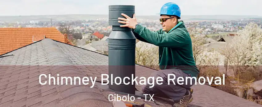  Chimney Blockage Removal Cibolo - TX