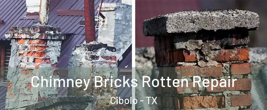  Chimney Bricks Rotten Repair Cibolo - TX
