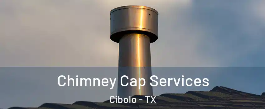  Chimney Cap Services Cibolo - TX