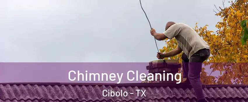 Chimney Cleaning Cibolo - TX