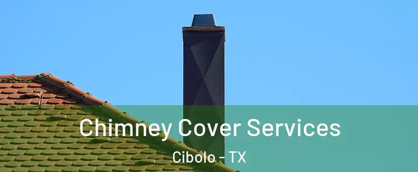  Chimney Cover Services Cibolo - TX