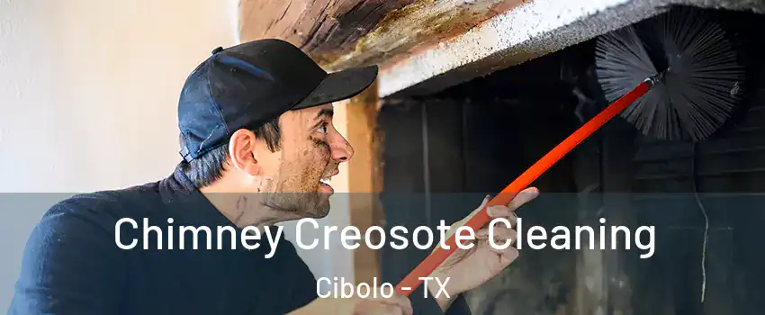  Chimney Creosote Cleaning Cibolo - TX