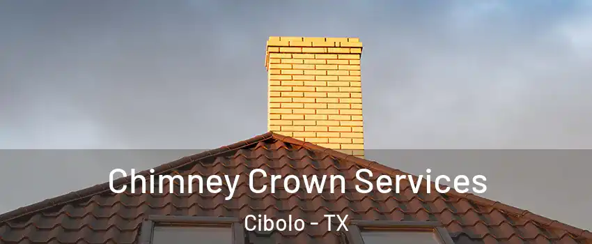  Chimney Crown Services Cibolo - TX