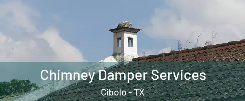  Chimney Damper Services Cibolo - TX