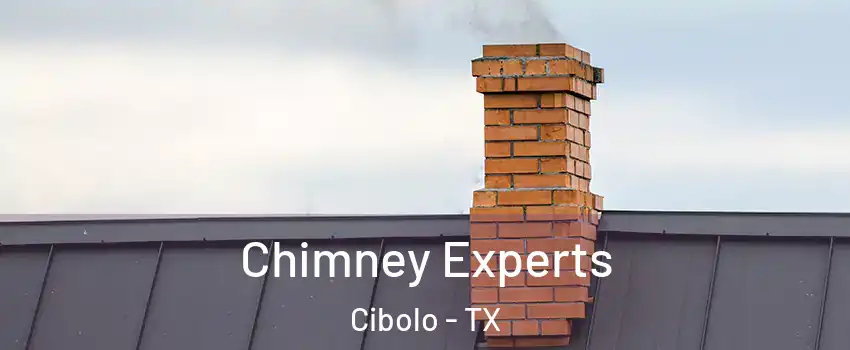  Chimney Experts Cibolo - TX