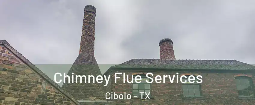  Chimney Flue Services Cibolo - TX