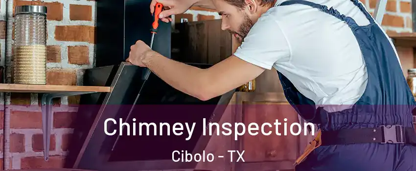  Chimney Inspection Cibolo - TX