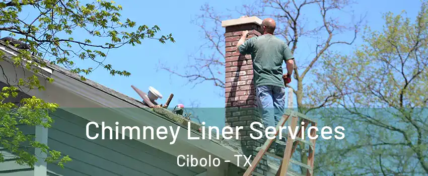  Chimney Liner Services Cibolo - TX