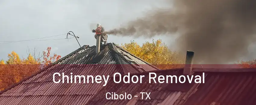  Chimney Odor Removal Cibolo - TX