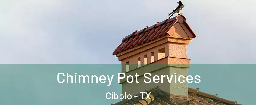  Chimney Pot Services Cibolo - TX