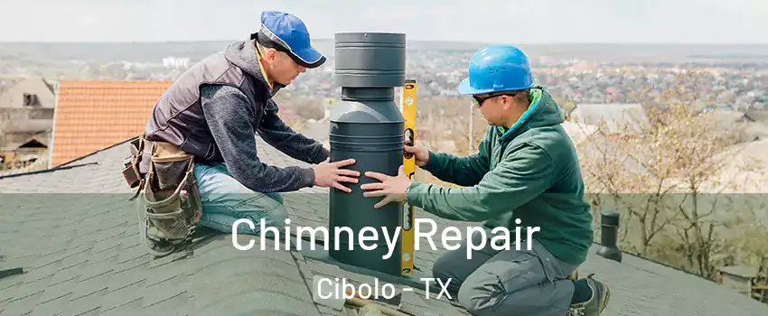  Chimney Repair Cibolo - TX