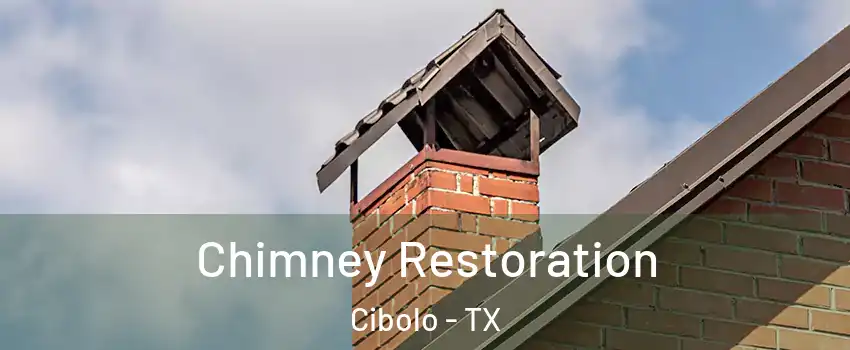  Chimney Restoration Cibolo - TX