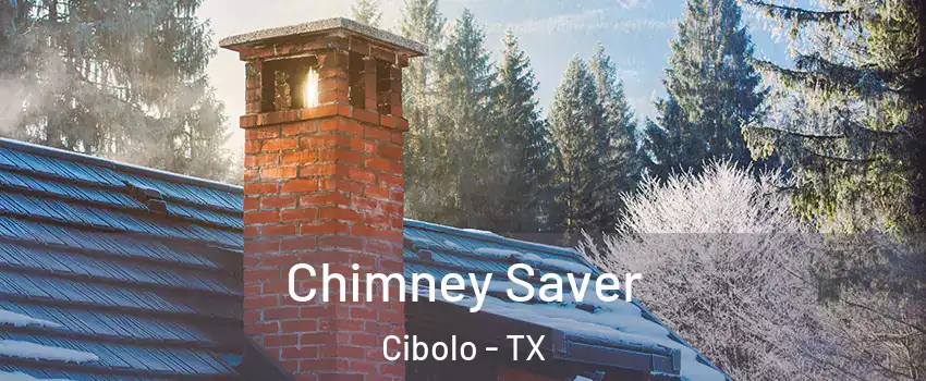  Chimney Saver Cibolo - TX