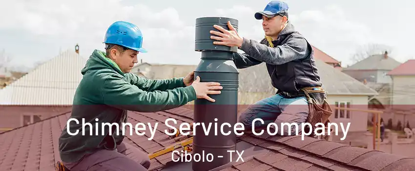  Chimney Service Company Cibolo - TX