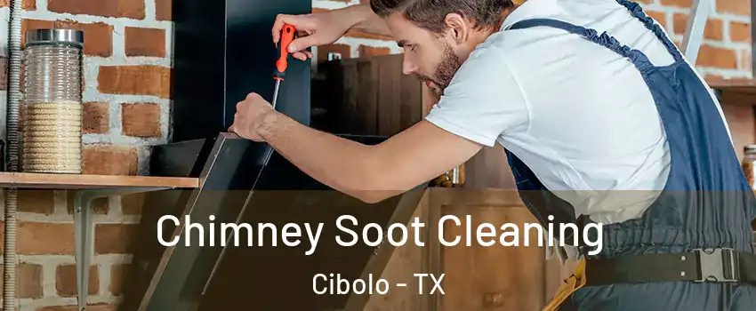  Chimney Soot Cleaning Cibolo - TX