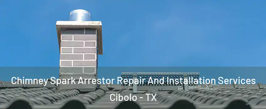  Chimney Spark Arrestor Repair And Installation Services Cibolo - TX