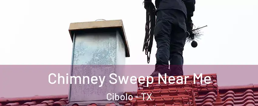  Chimney Sweep Near Me Cibolo - TX