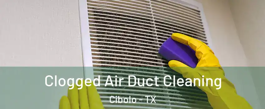  Clogged Air Duct Cleaning Cibolo - TX