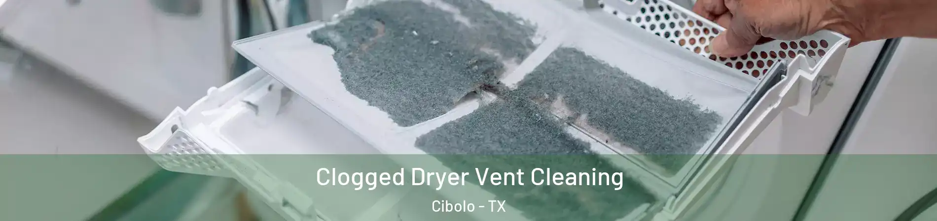  Clogged Dryer Vent Cleaning Cibolo - TX