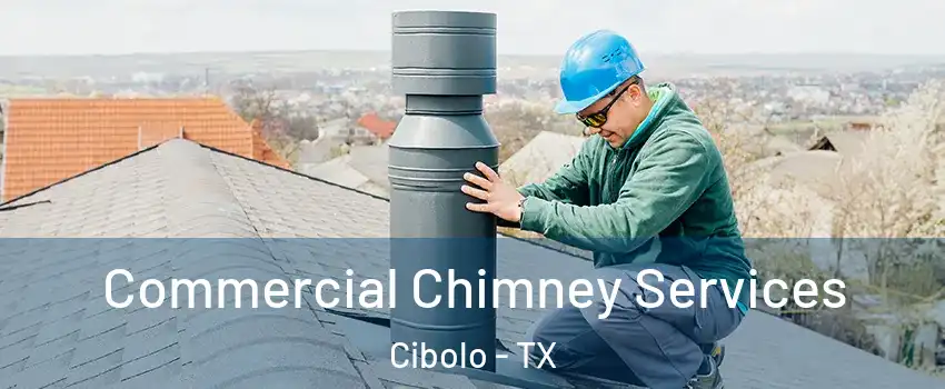  Commercial Chimney Services Cibolo - TX