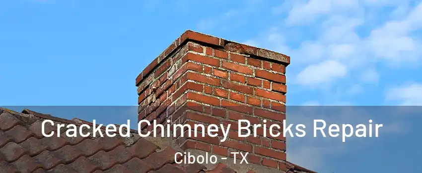  Cracked Chimney Bricks Repair Cibolo - TX