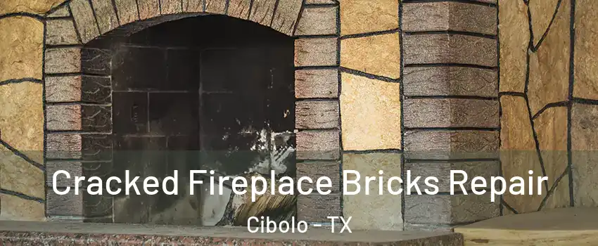  Cracked Fireplace Bricks Repair Cibolo - TX