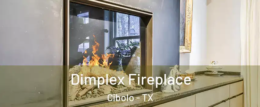  Dimplex Fireplace Cibolo - TX