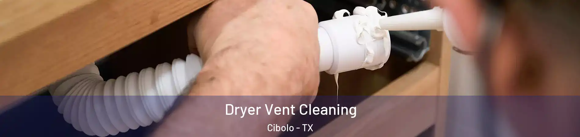  Dryer Vent Cleaning Cibolo - TX