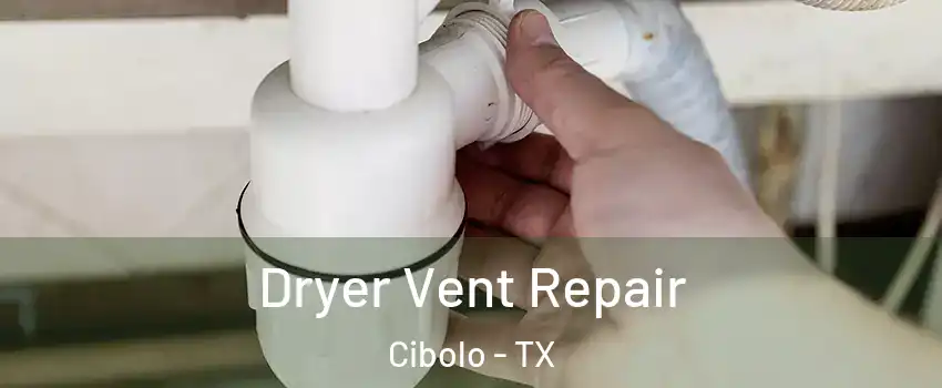  Dryer Vent Repair Cibolo - TX