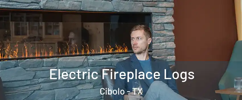  Electric Fireplace Logs Cibolo - TX
