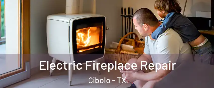  Electric Fireplace Repair Cibolo - TX