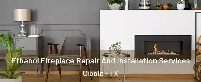  Ethanol Fireplace Repair And Installation Services Cibolo - TX