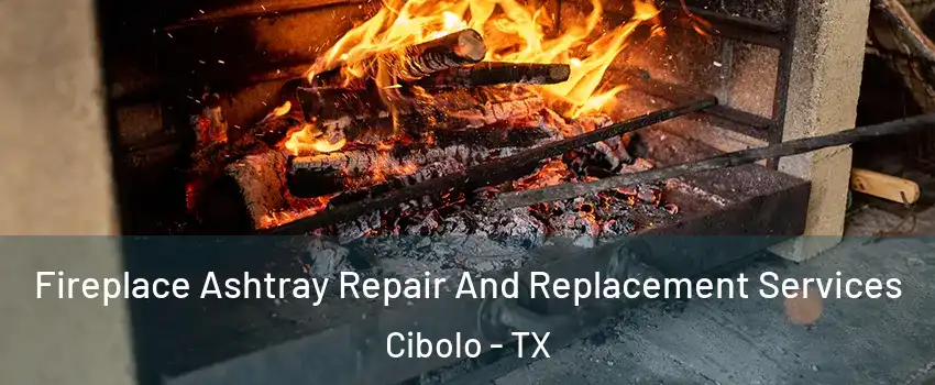  Fireplace Ashtray Repair And Replacement Services Cibolo - TX