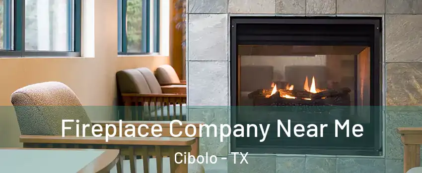  Fireplace Company Near Me Cibolo - TX