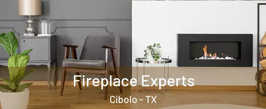  Fireplace Experts Cibolo - TX