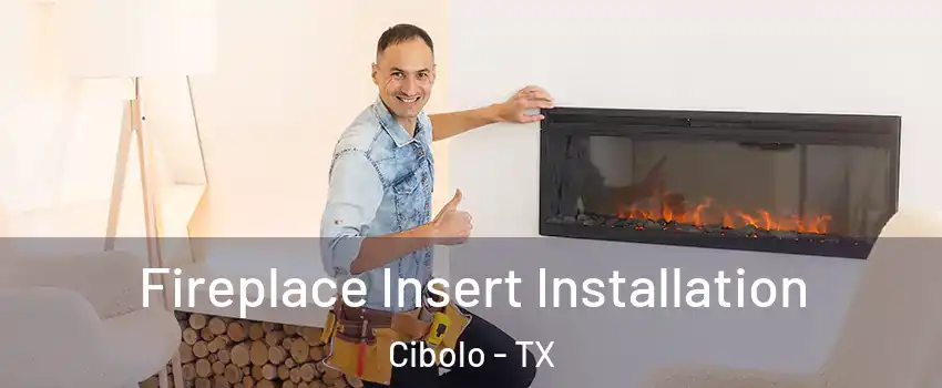  Fireplace Insert Installation Cibolo - TX