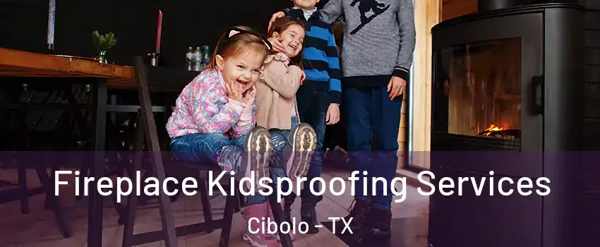  Fireplace Kidsproofing Services Cibolo - TX