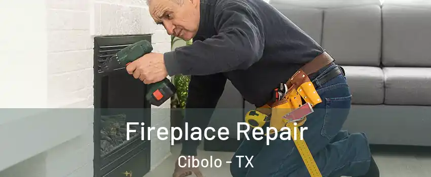  Fireplace Repair Cibolo - TX