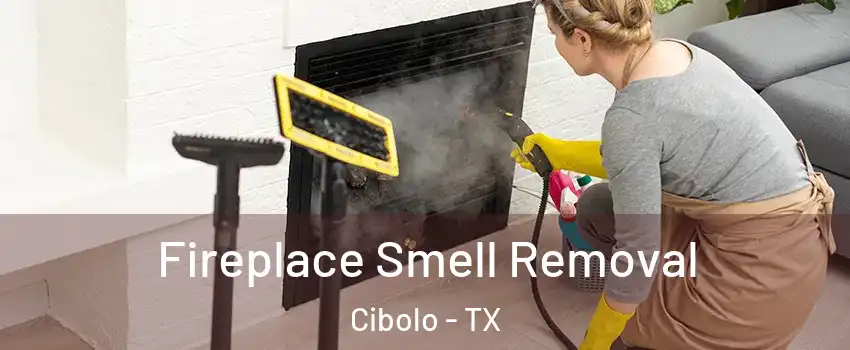  Fireplace Smell Removal Cibolo - TX