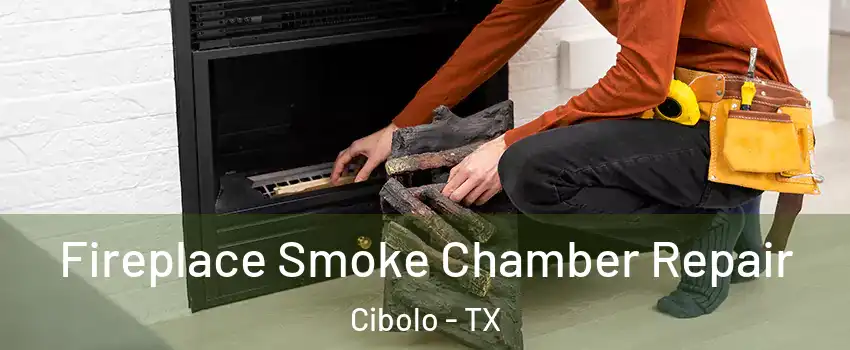 Fireplace Smoke Chamber Repair Cibolo - TX