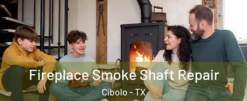  Fireplace Smoke Shaft Repair Cibolo - TX