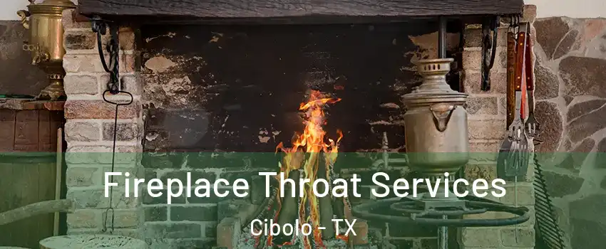  Fireplace Throat Services Cibolo - TX