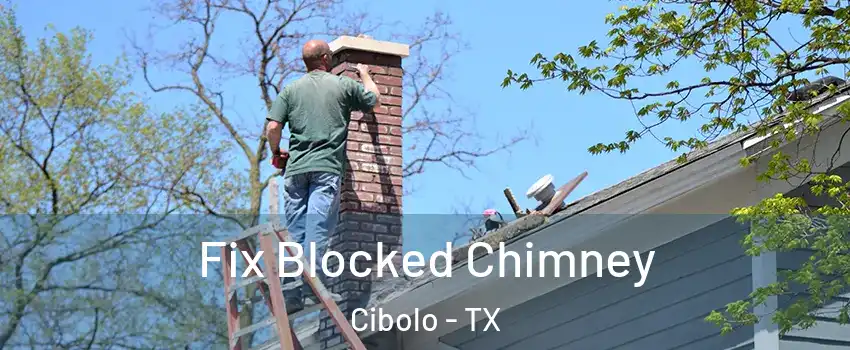  Fix Blocked Chimney Cibolo - TX