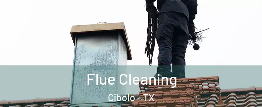  Flue Cleaning Cibolo - TX