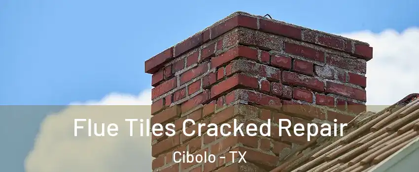  Flue Tiles Cracked Repair Cibolo - TX