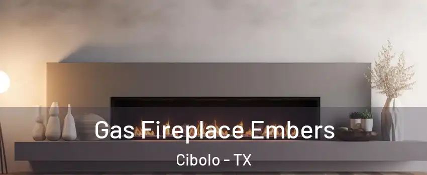  Gas Fireplace Embers Cibolo - TX